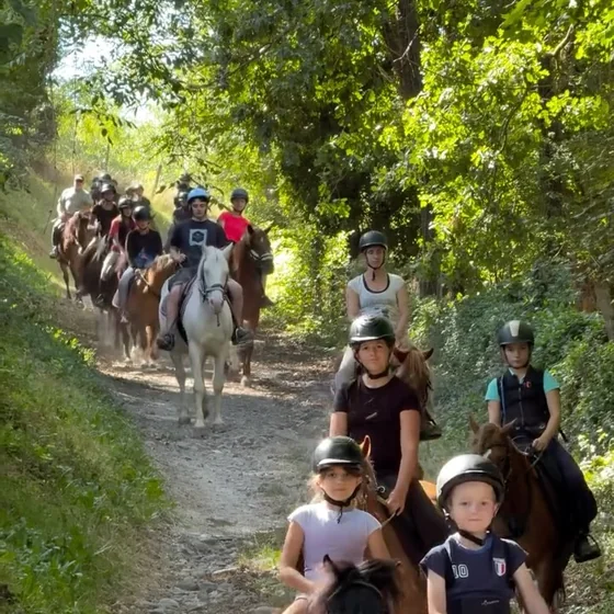 Reel Instagram Écurie Morgane Saby — balade à cheval en forêt avec le groupe de cavaliers