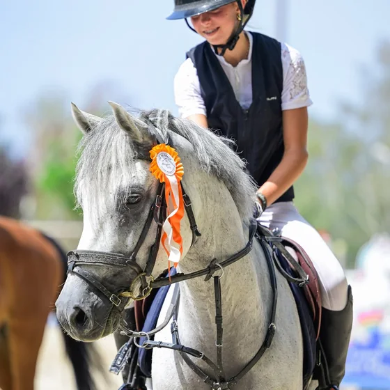 Post Instagram Écurie Morgane Saby — cavalière et poney primés en concours